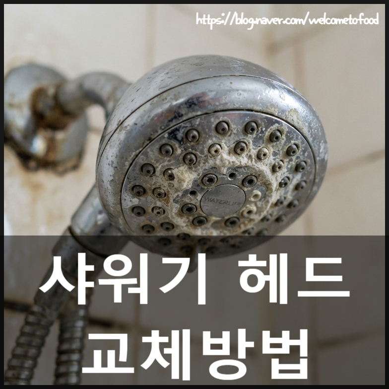 샤워기 헤드 교체 시기와 셀프 교체 방법, 추천 제품까지 정리