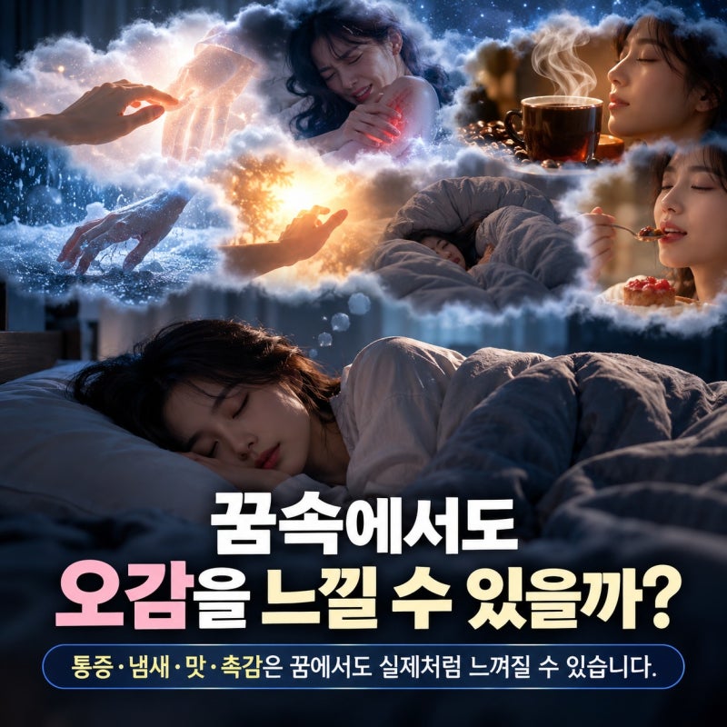 꿈에서 통증, 냄새, 맛, 촉감을 느낄 수 있을까? 꿈속 오감은 실제일까