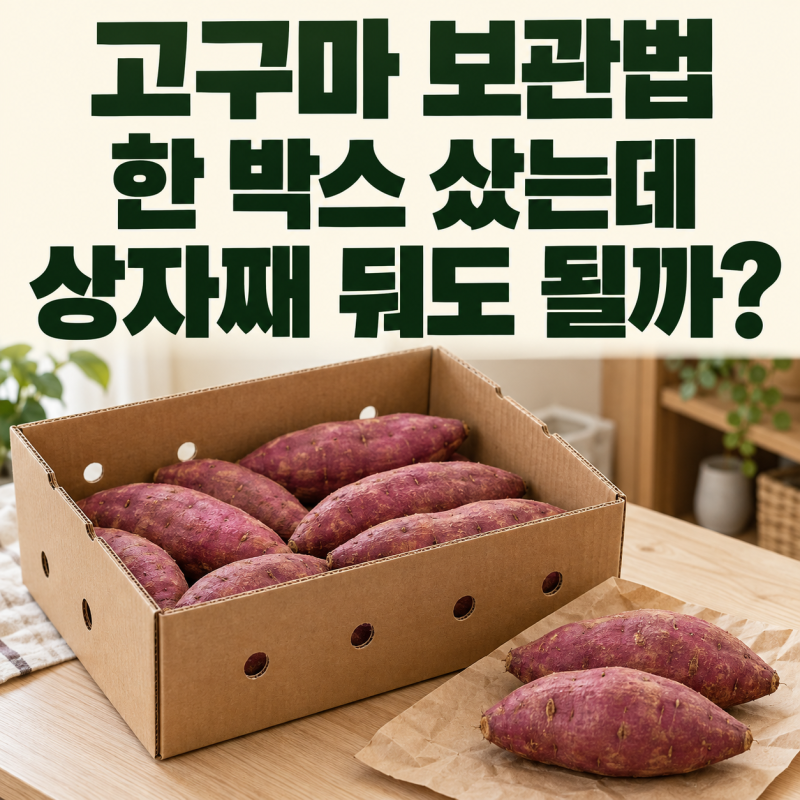 고구마 보관법, 한 박스 샀는데 상자째 둬도 될까?