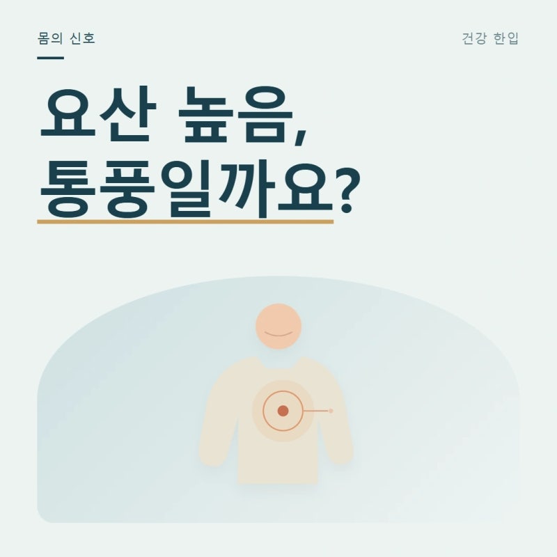 통풍 증상은 없는데 요산이 높다? 검사표에서 더 볼 단서
