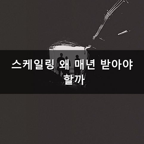 스케일링 비용 얼마나 할까? 치과 스케일링 가격과 건강보험 적용 기준