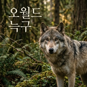 대전 오월드 할인정보 가격 총정리｜입장권·자유이용권 온라인 할인부터 카드 할인까지
