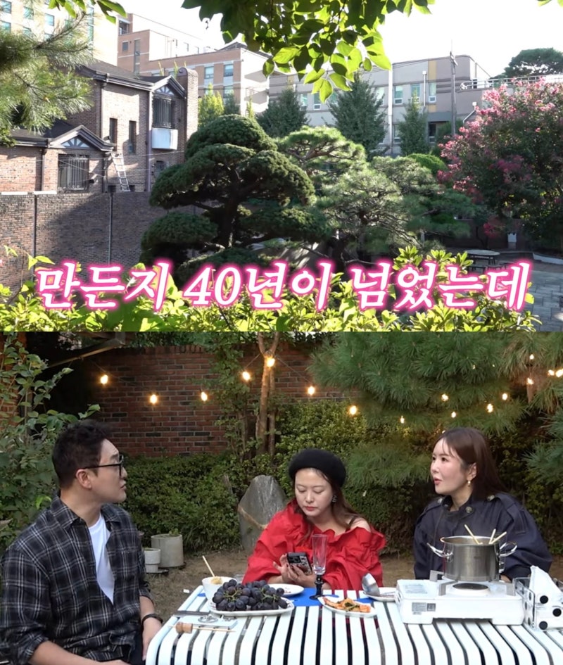 심진화 마당집 공개, 밑바닥부터 악착같이 일궈낸 김원효와의 집