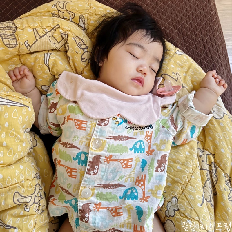 돌아기 돌치레 두돌치레 뜻, 아기열내리는법과 돌발진 열꽃 증상 이유