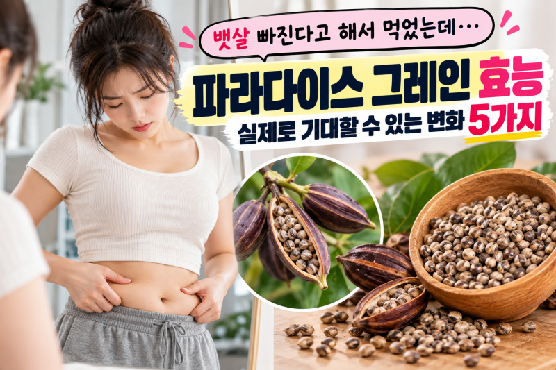 뱃살 빠진다고 해서 먹었는데 파라다이스 그레인 효능, 실제로 기대할 수 있는 변화 5가지