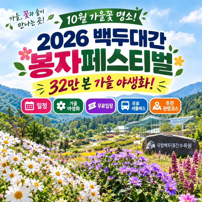 2026 백두대간 봉자페스티벌 완벽 가이드! 일정·32만 본 가을 야생화·무료입장·무료 셔틀버....