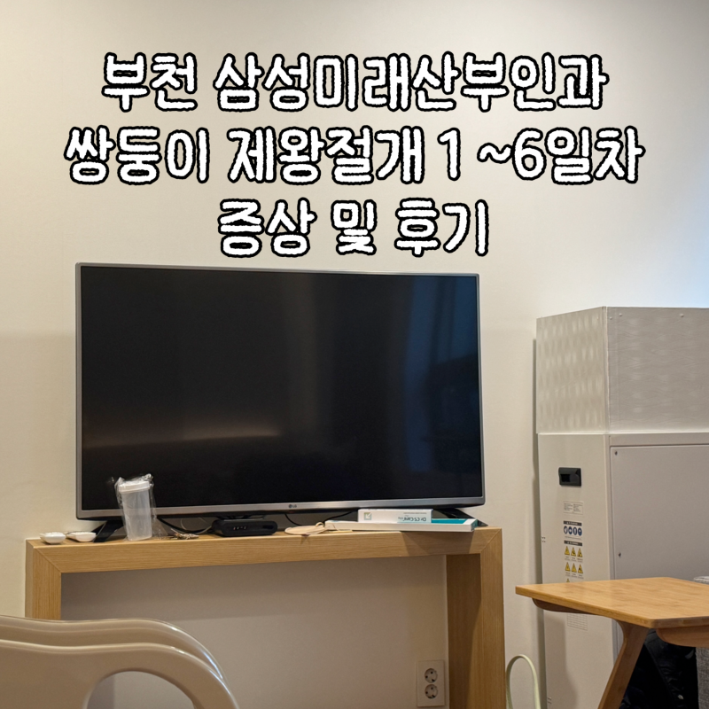 [부천 삼성미래산부인과] 36주4일 쌍둥이 제왕절개 출산 1일차 ~ 6일차 증상 및 생생후기 (페인....