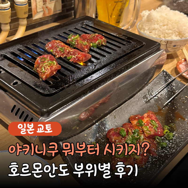 일본 야키니쿠 뜻부터 부위 추천 주문까지, 교토 야키니쿠 맛집 호르몬안도 고기 후기