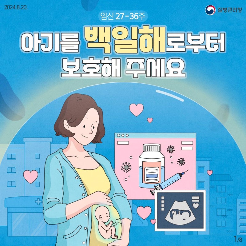 「임산부 백일해 임신 27~36주 사이 Tdap 접종·가격｜병원별 가격비교 꼭 해보세요」