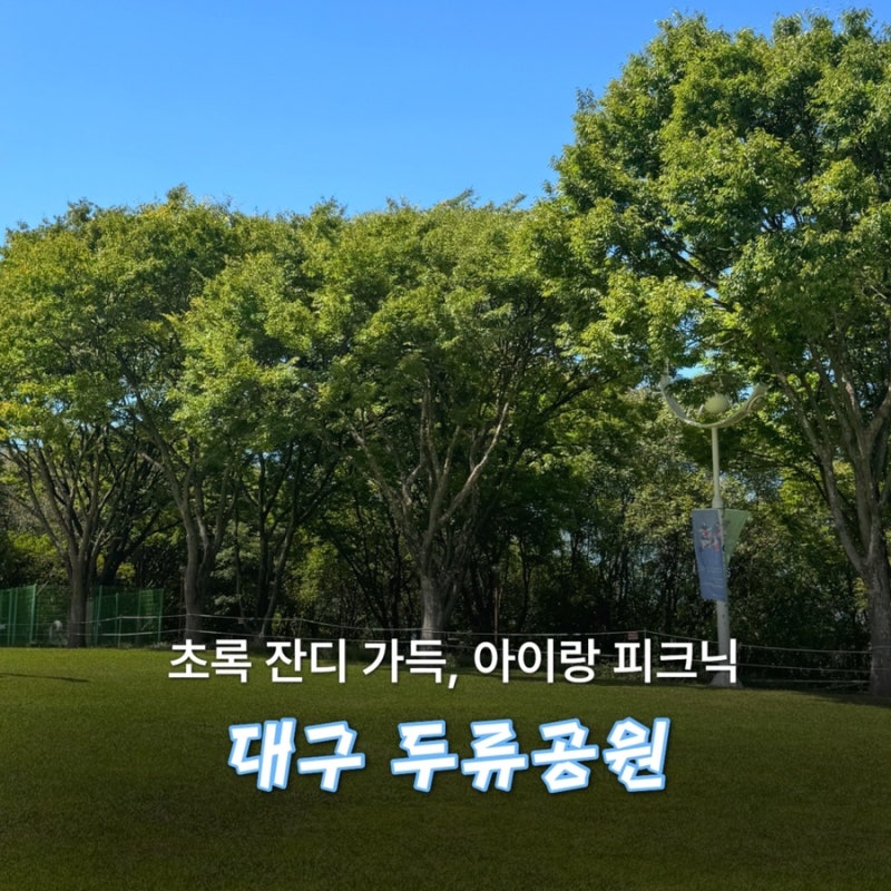 Duryu Park: A Must-Visit for Babies in Daegu (Picnic Spot Tips and Essentials)