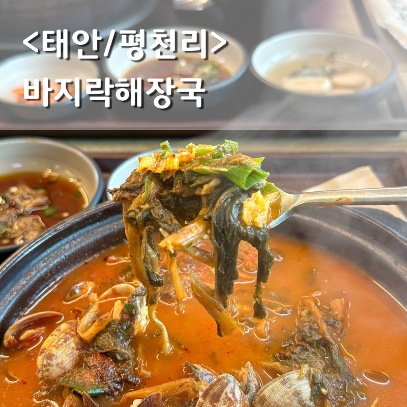 태안 바지락해장국 맛집 / 주말 시어머님과 웨이팅 해서 먹고온 얼큰하고 진한 한식