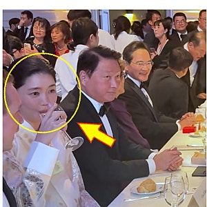 “학력위조·중국 간첩까지?” 최태원 동거인 김희영 겨냥 허위설…법원서 줄줄이 깨졌다, ....