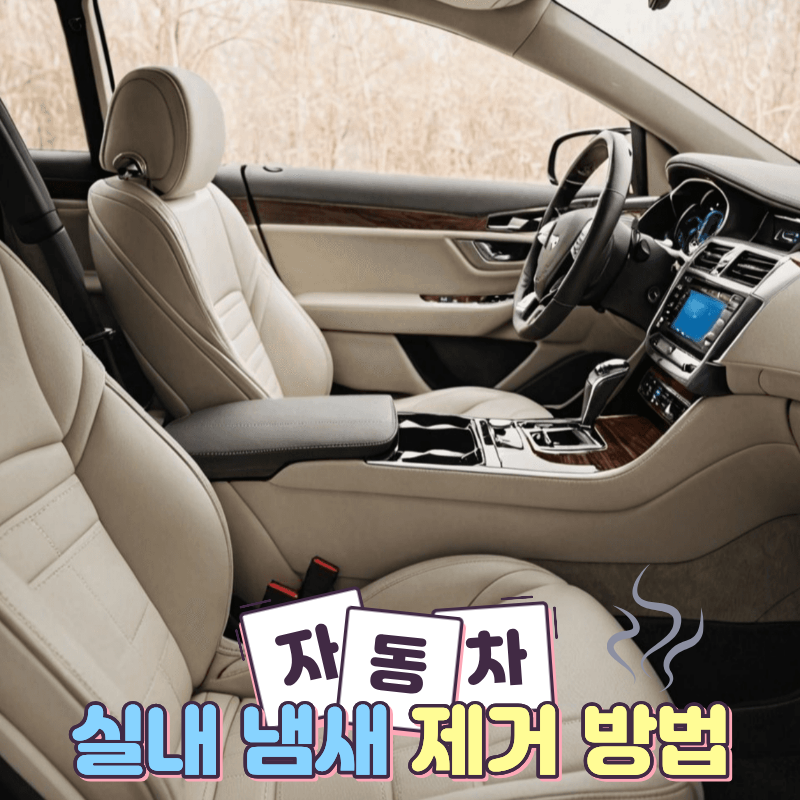 자동차 실내 냄새제거 방법, 원인에 따라 달라요!