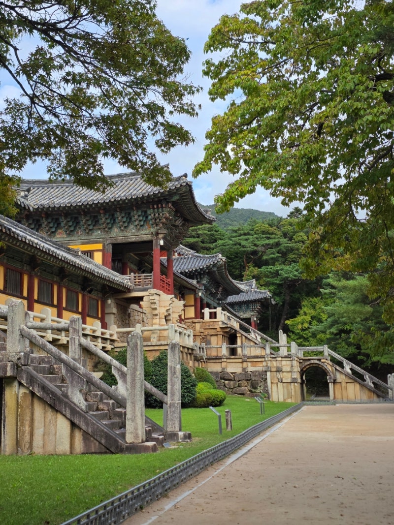 경주 불국사 입장료 무료 가을가볼만한곳 가족여행 해설사있는불국사