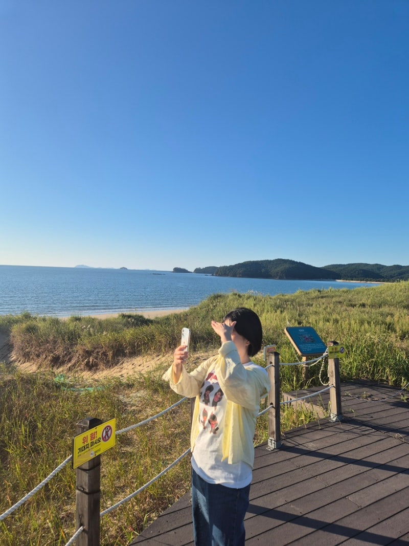 Chungnam Taean Attractions, Taean Travel, Sinduri Coastal Sand Dunes
