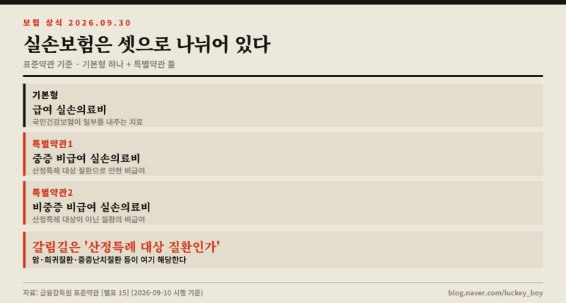 실손보험이 셋으로 쪼개졌다 — 급여, 중증 비급여, 비중증 비급여