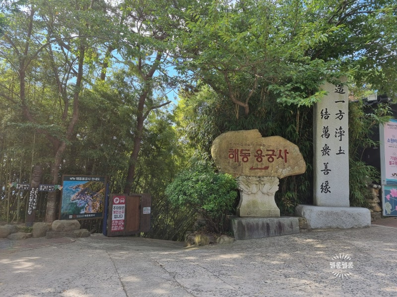 부산 해동용궁사 바다 앞에 자리한 사찰 기장가볼만한곳 주차꿀팁
