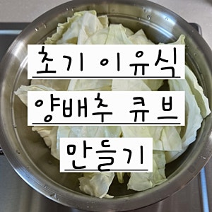 초기 이유식 양배추 큐브 만들기양배추 효능부터 심지 제거, 10g 소분까지