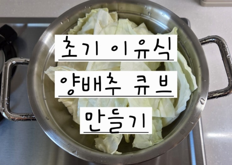 초기 이유식 양배추 큐브 만들기양배추 효능부터 심지 제거, 10g 소분까지