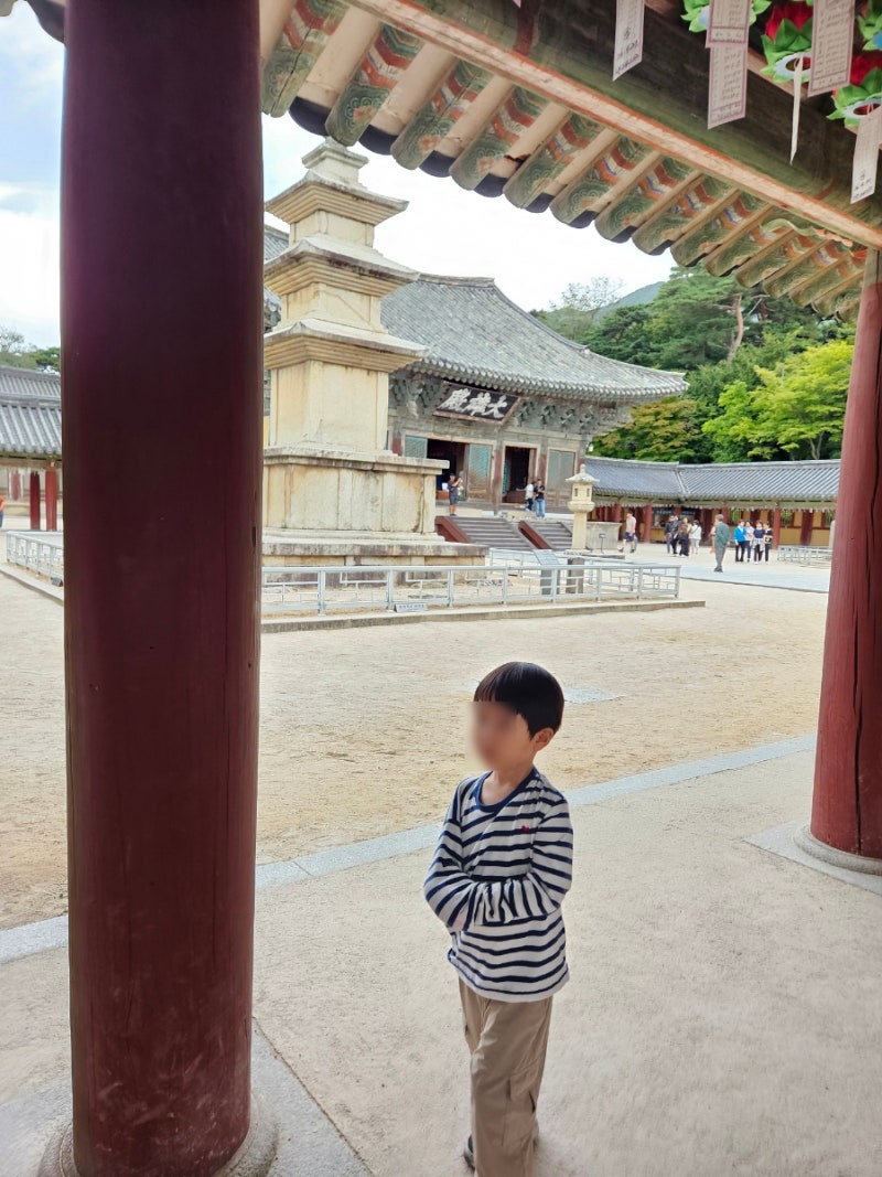 아이랑 경주 가볼만한곳 추천 :: 아이랑 경주여행 코스 1일차 :: 불국사 근처