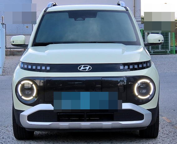 캐스퍼 EV 대신 BYD 돌핀 3대 계약한 법인 대표님의 고민