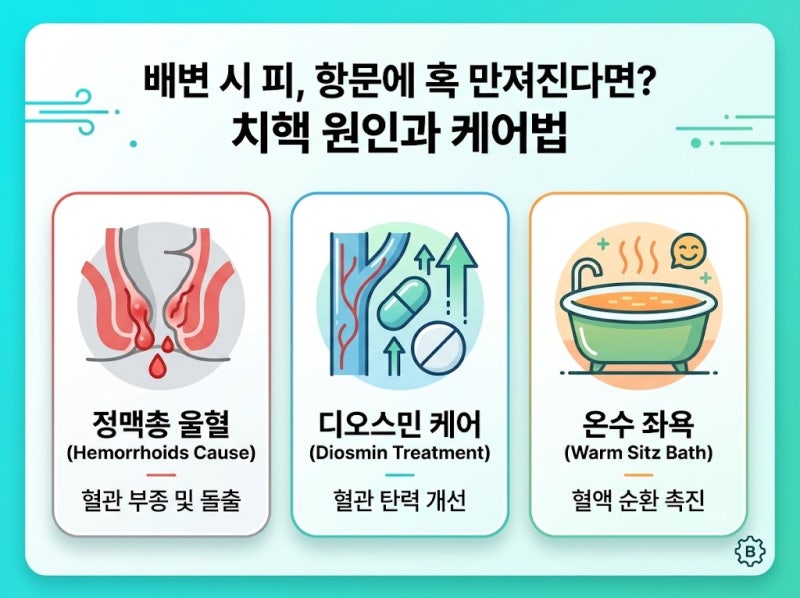 배변 시 붉은 피가 떨어지고 항문에 혹이 만져진다면? 치핵(Hemorrhoids) 원인과 정맥총 울혈, 디....