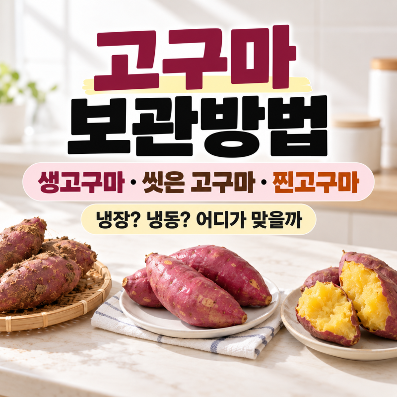 고구마 보관방법｜찐고구마·씻은 고구마 보관하는 법