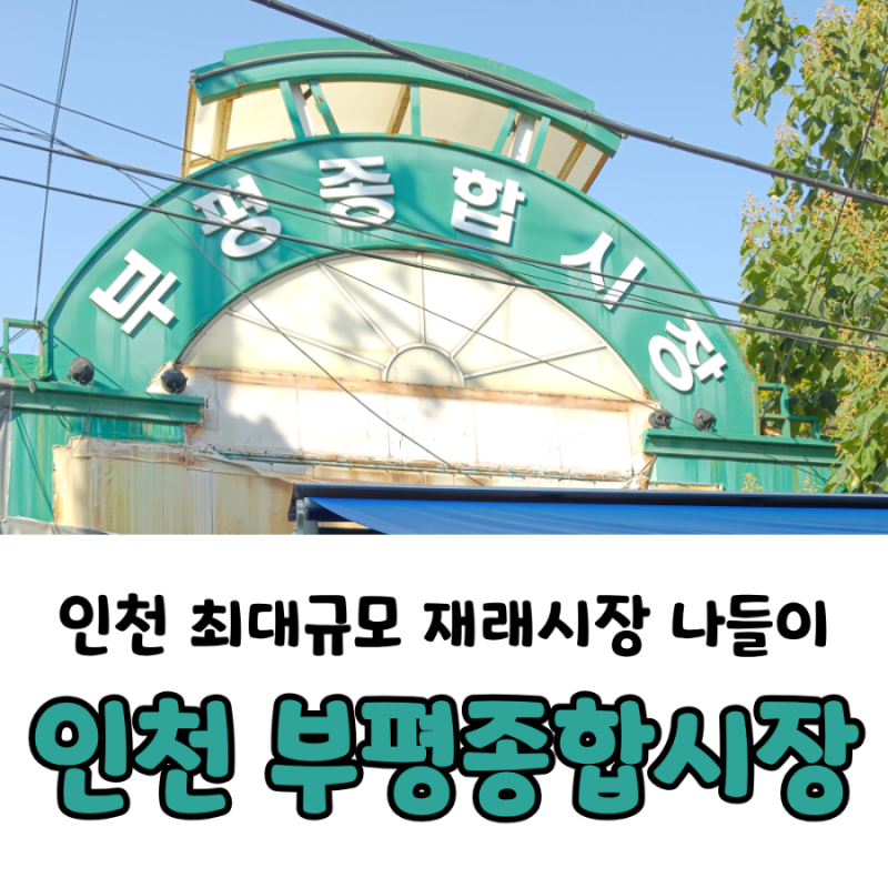인천 가볼 만한 곳 | 인천 부평종합시장 나들이 후기