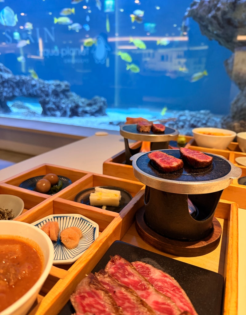 수원ㅣ수린 광교 (광교 아쿠아플라넷에서 즐기는 광교 데이트 맛집 한우 오마카세)