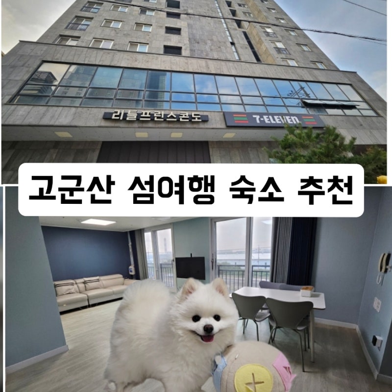 군산 여행 숙소 추천, 고군산 섬잇길 여행의 최적 거점! 반려견 동반 가능한 '리틀프린스 콘....