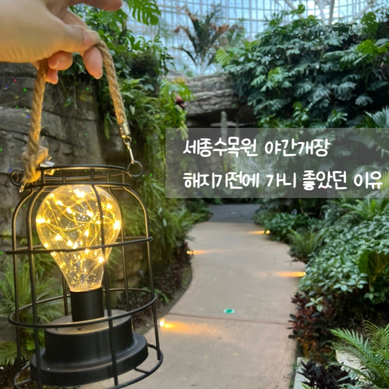국립세종수목원 야간개장 해지기 전부터 가보니 좋았던 이유