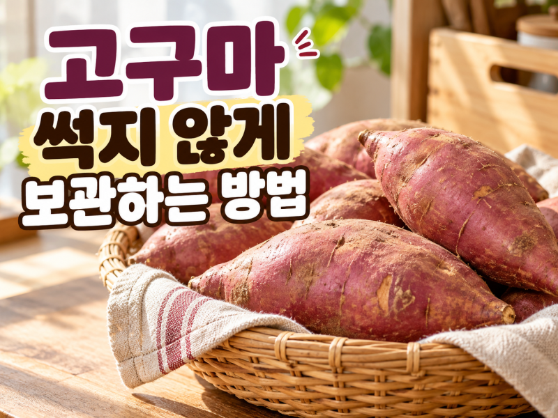 고구마 썩지 않게 보관하는 방법