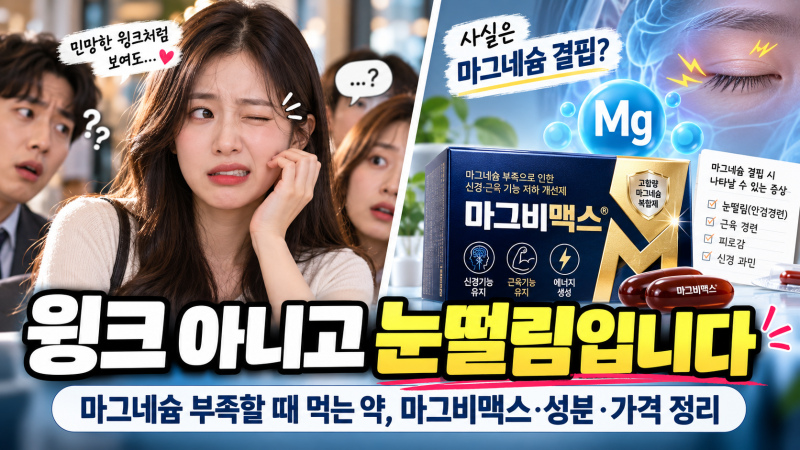 "윙크 아니고 눈떨림입니다" 마그네슘 부족할 때 먹는 약, 마그비맥스 성분·가격 정리