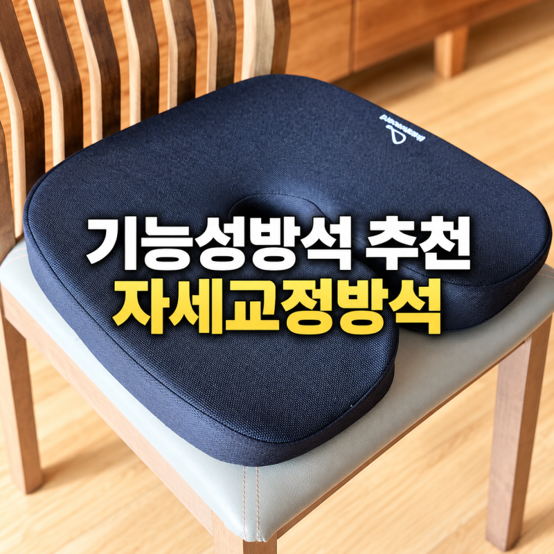 기능성방석 추천, 자세교정방석 사용 전 알아둘 특징 (ft.치질방석)