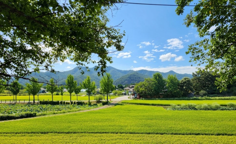 Top 10 Places to Visit in Gyeongnam in October: Autumn Festivals, Discounts, and Kid-Friendly Itineraries