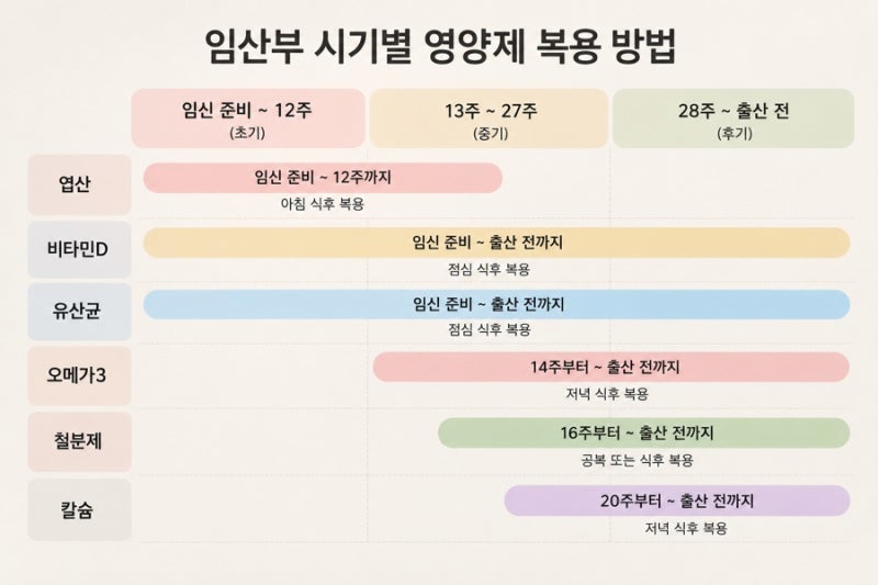 임산부 영양제 언제부터? 엽산·철분·비타민D·오메가3 복용시기 정리