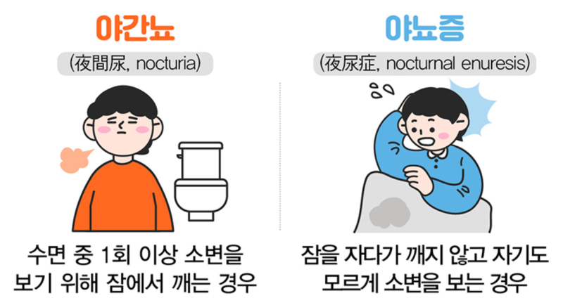야간뇨에서 해방