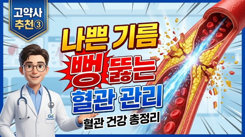 [고약사 추천③]나쁜 기름 뻥 뚫는 혈관 관리 총정리