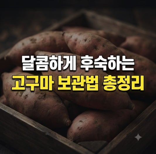 고구마 후숙 방법 총정리(+ 더 달콤하게 만드는 꿀팁과 보관법)