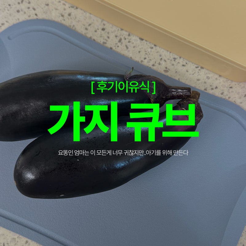 후기 이유식 가지큐브 만들기｜손질부터 보관까지