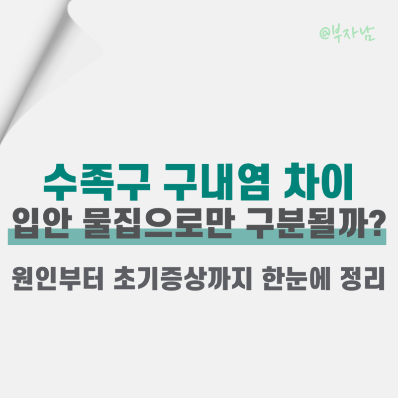 돌아기 수족구 초기증상 3가지, 구내염과 구분하는 방법 (등원 기준까지)