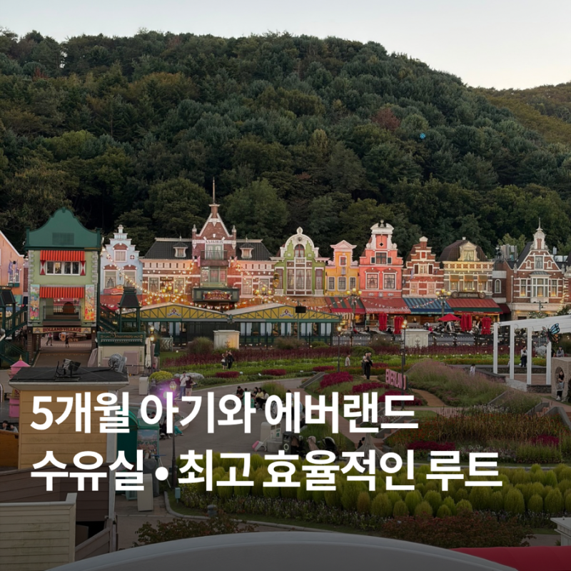 아기와 에버랜드 수유실 위치 효율적인 루트 아기랑 에버랜드 놀이기구 볼거리 추천