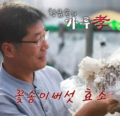 경신바이오 발효 꽃송이버섯 효소 솔직 사용기