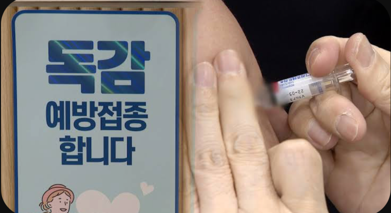 2026 독감 예방접종 무료 대상자 조회부터 병원별 백신 가격 비교 노하우