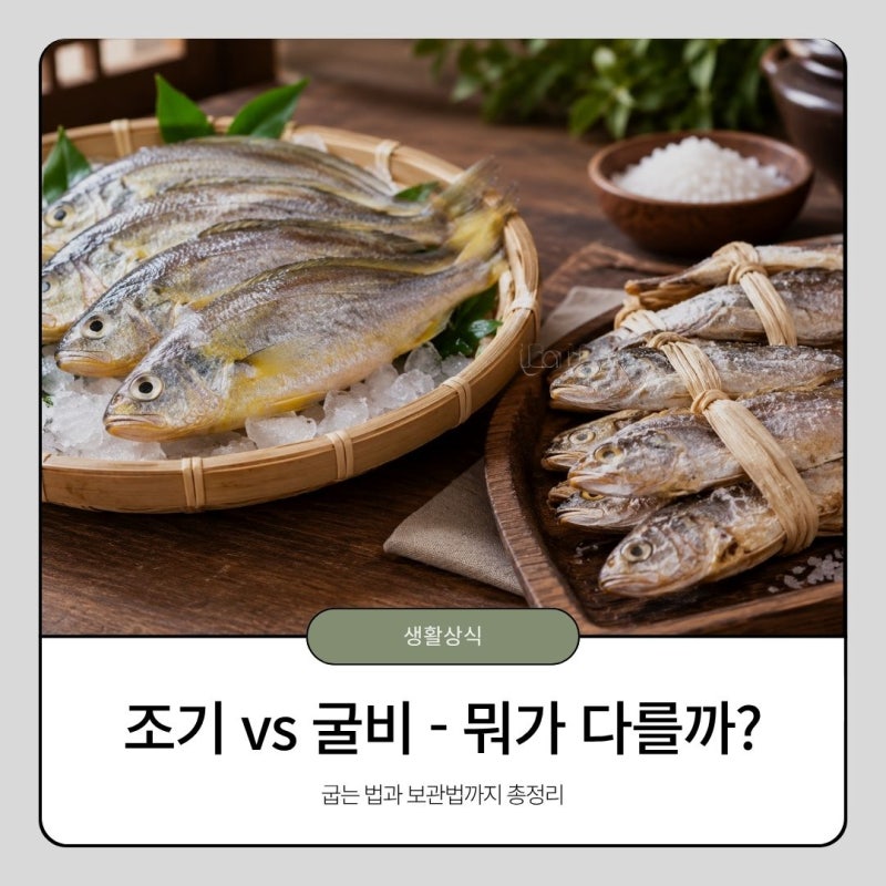 조기와 굴비 차이, 뭐가 다를까? 굽는 법·보관법까지 총정리