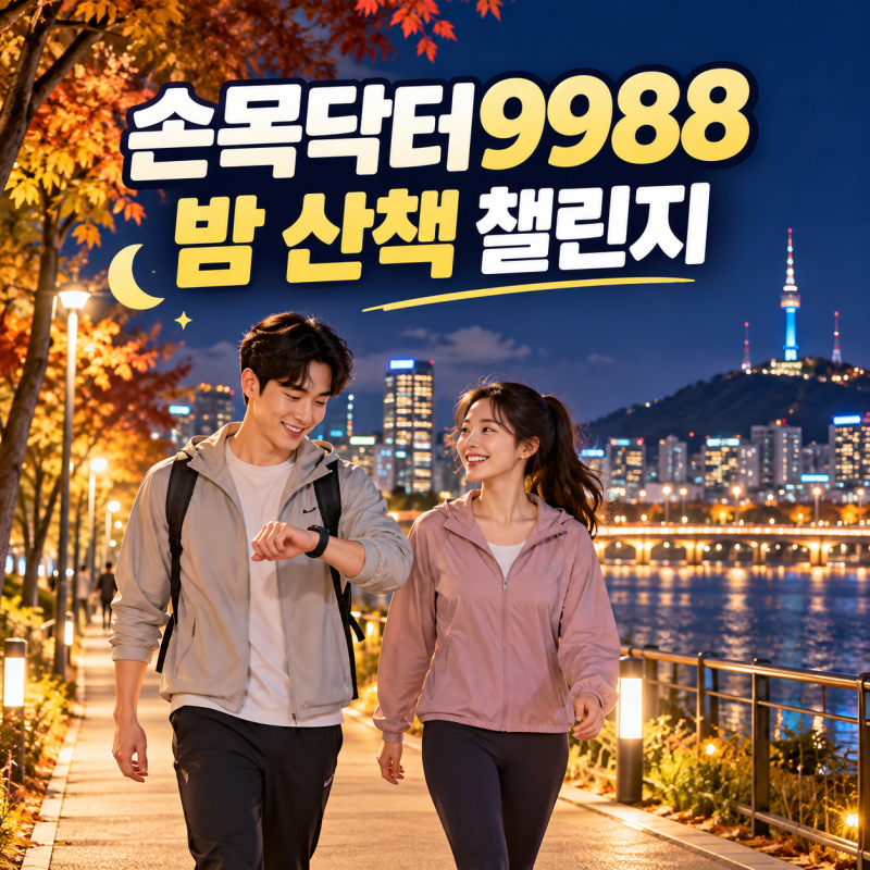 손목 닥터 9988 밤 산책 챌린지 참여방법, 서울 야간 명소 14곳·포인트 총정리