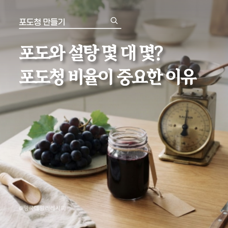 남은 포도 한 송이로 포도청 만들기, 설탕 비율은?