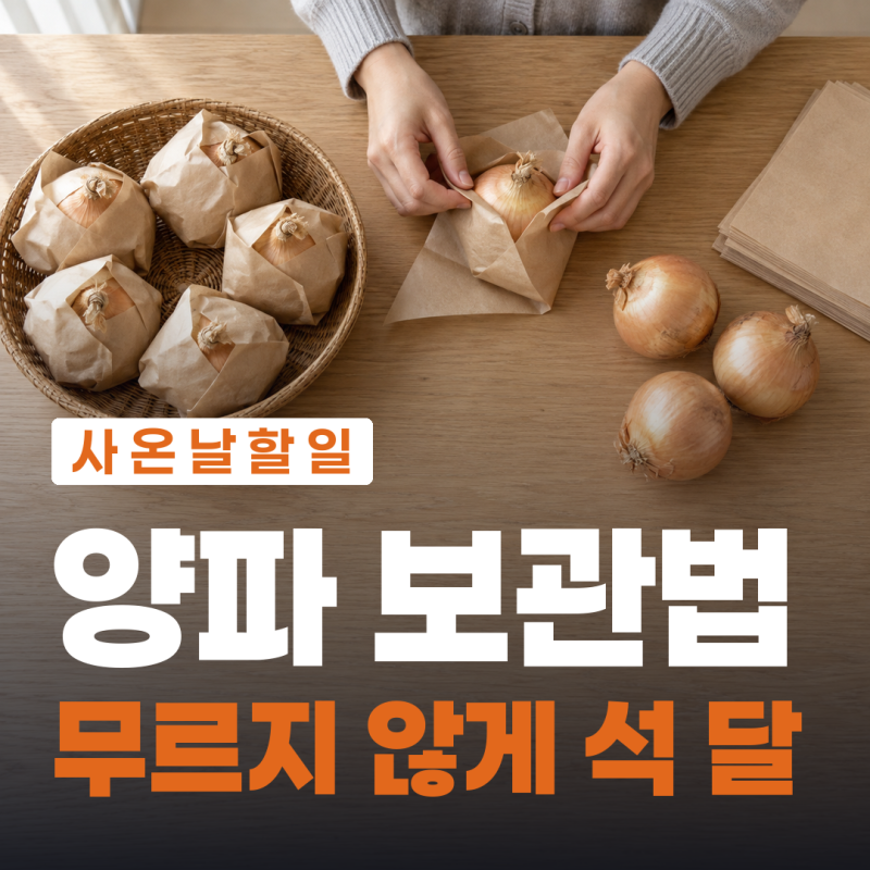 양파 보관법 한 알씩 떨어뜨려 두면 석 달 갑니다
