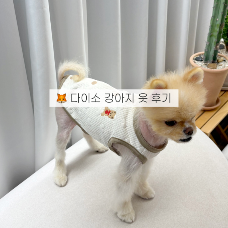 다이소 강아지 옷 사이즈 팁 가을신상 펫조끼 솔직후기(품번)
