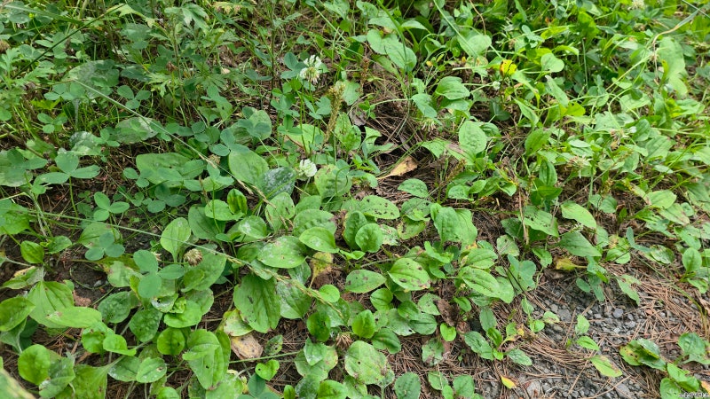 전립선비대증에 좋은 음식 찾는다면 피해야 할 음식도 확인하세요